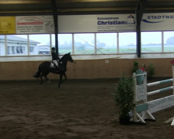 Reitturnier Niebüll 2018