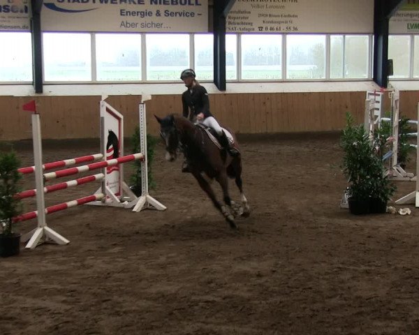 Reitturnier Niebüll 2018