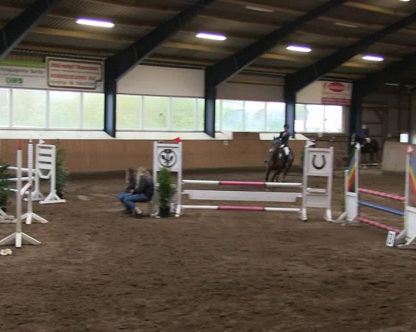 Reitturnier Niebüll 2018
