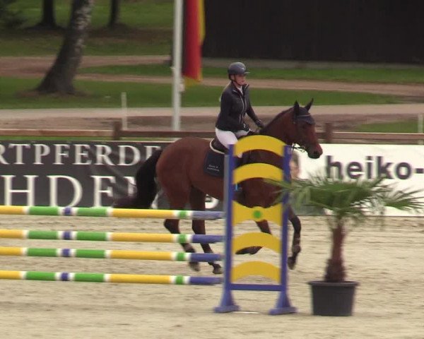 Reitturnier Westergellersen 2021