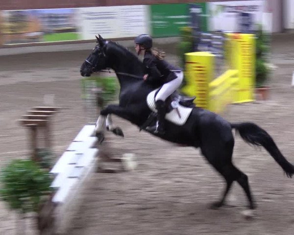 Reitturnier Hamburg-Friedrichshulde 2018