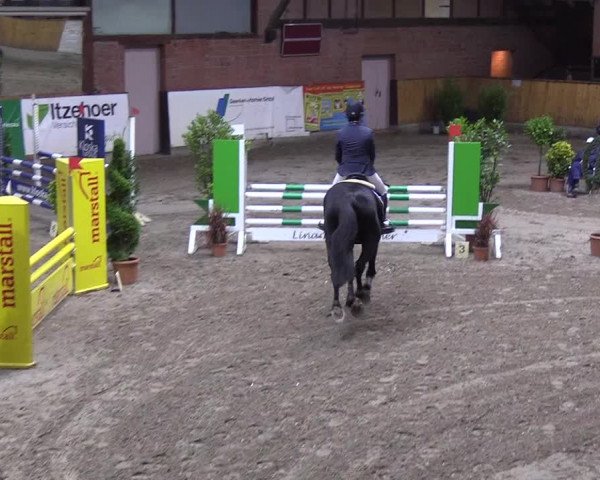 Reitturnier Hamburg-Friedrichshulde 2018