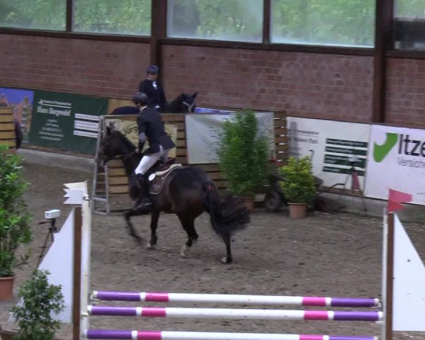 Reitturnier Hamburg-Friedrichshulde 2018