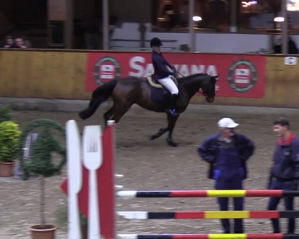 Reitturnier Hamburg-Friedrichshulde 2018