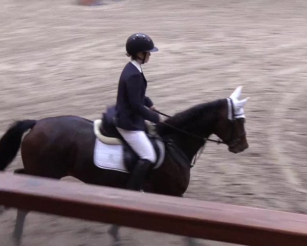 Reitturnier Hamburg-Friedrichshulde 2018
