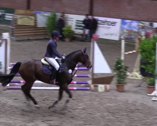 Reitturnier Hamburg-Friedrichshulde 2018