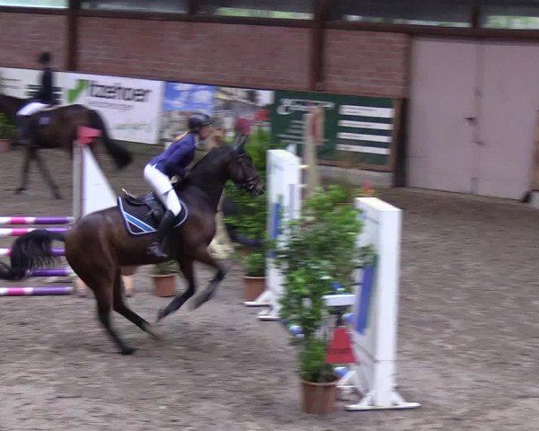 Reitturnier Hamburg-Friedrichshulde 2018