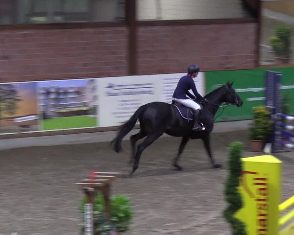Reitturnier Hamburg-Friedrichshulde 2018