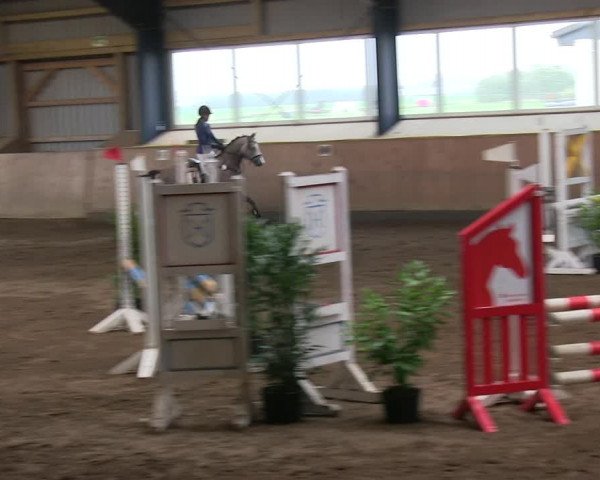 Reitturnier Niebüll 2018