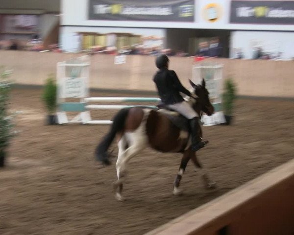 Reitturnier Niebüll 2018