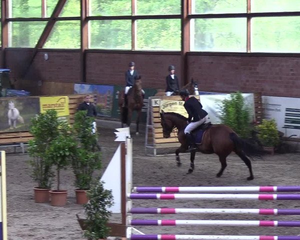 Reitturnier Hamburg-Friedrichshulde 2018