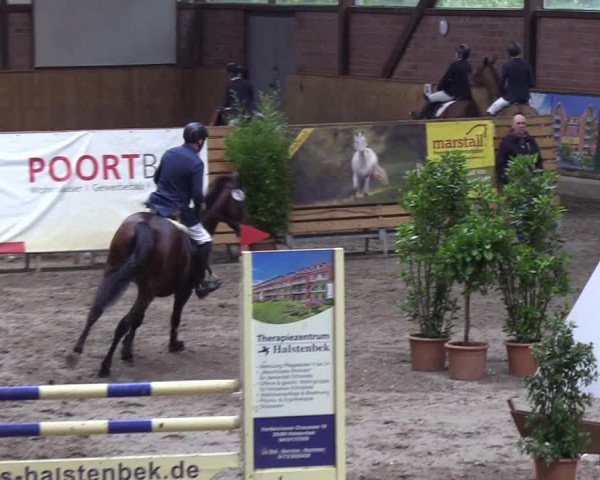 Reitturnier Hamburg-Friedrichshulde 2018