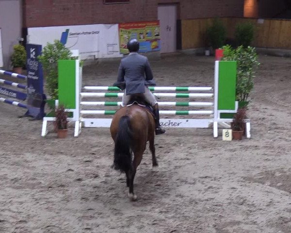 Reitturnier Hamburg-Friedrichshulde 2018