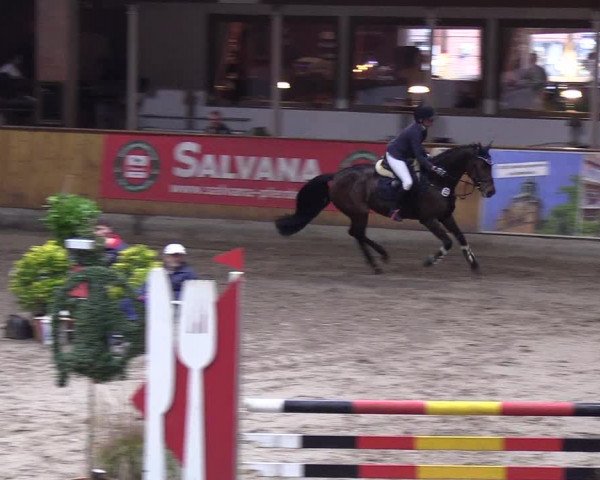 Reitturnier Hamburg-Friedrichshulde 2018