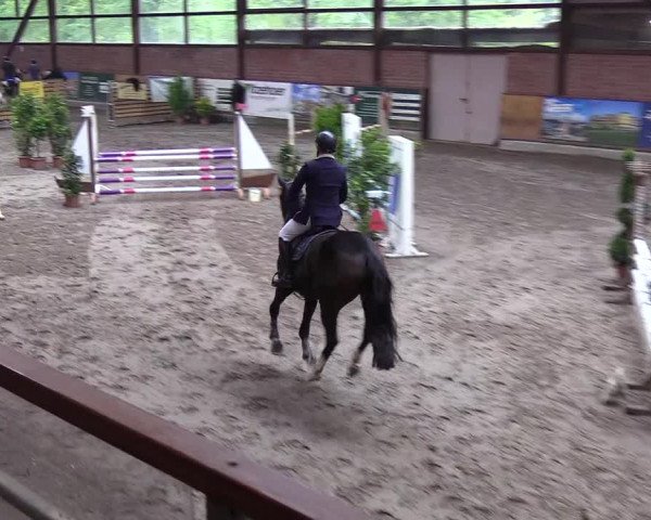 Reitturnier Hamburg-Friedrichshulde 2018
