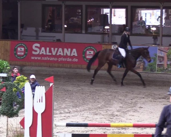 Reitturnier Hamburg-Friedrichshulde 2018