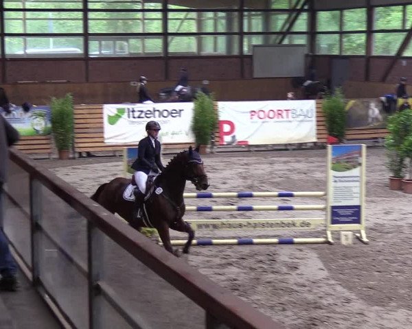 Reitturnier Hamburg-Friedrichshulde 2018
