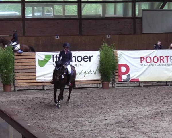 Reitturnier Hamburg-Friedrichshulde 2018