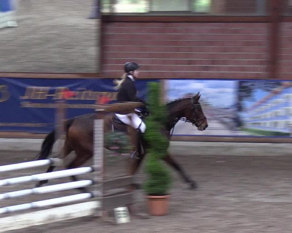 Reitturnier Hamburg-Friedrichshulde 2018