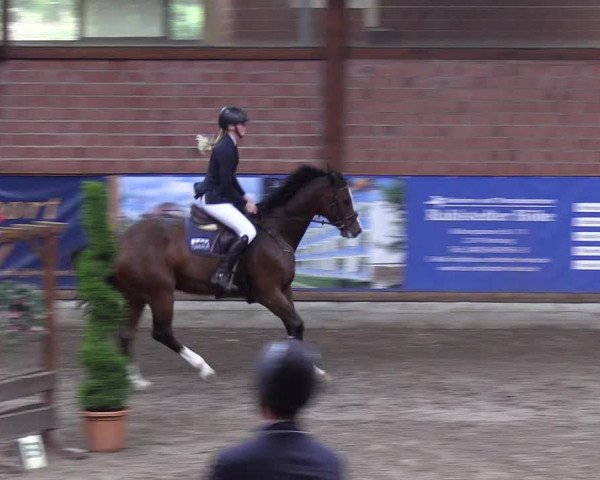 Reitturnier Hamburg-Friedrichshulde 2018