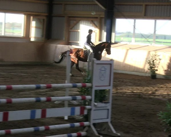 Reitturnier Niebüll 2018