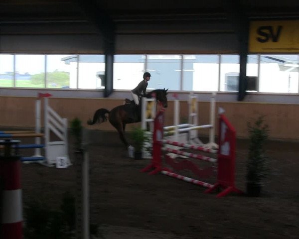 Reitturnier Niebüll 2018