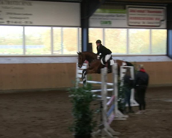 Reitturnier Niebüll 2018