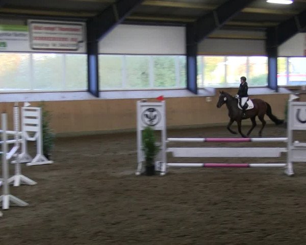 Reitturnier Niebüll 2018