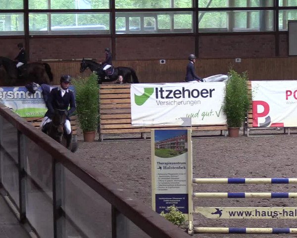 Reitturnier Hamburg-Friedrichshulde 2018