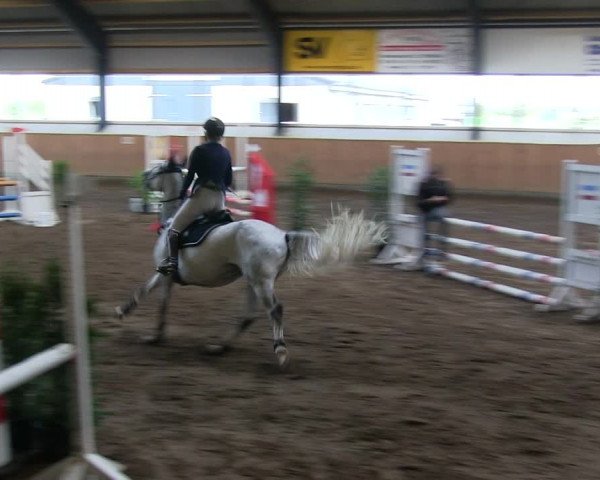 Reitturnier Niebüll 2018
