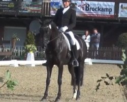 Dressurpferd Four Seasons FRH (Hannoveraner, 2011, von Fürstenball)