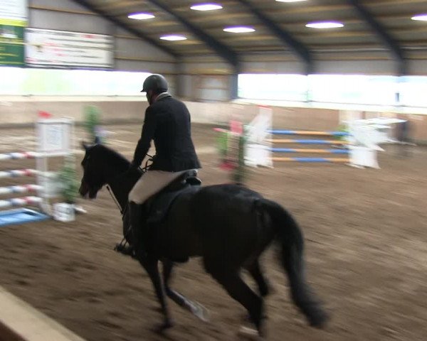 Reitturnier Niebüll 2018