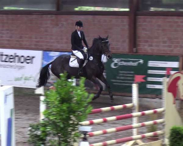 Reitturnier Hamburg-Friedrichshulde 2018