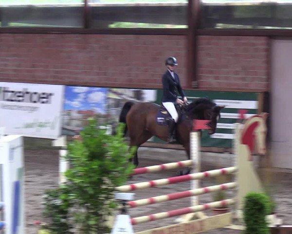 Reitturnier Hamburg-Friedrichshulde 2018