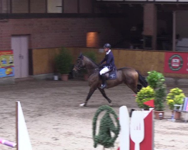 Reitturnier Hamburg-Friedrichshulde 2018