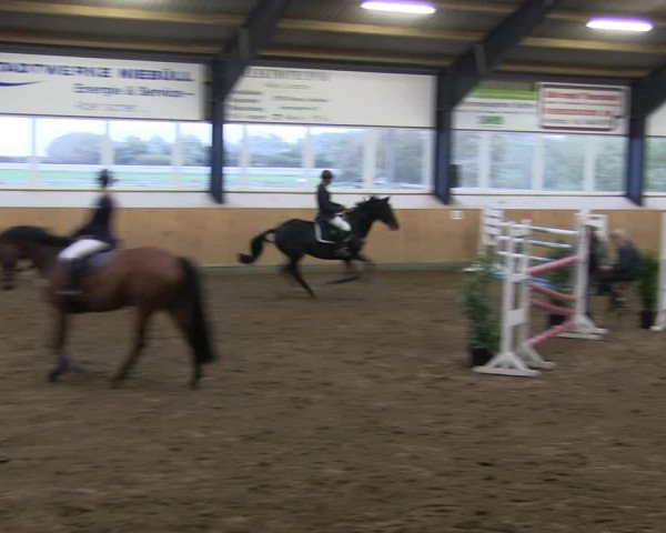 Reitturnier Niebüll 2018