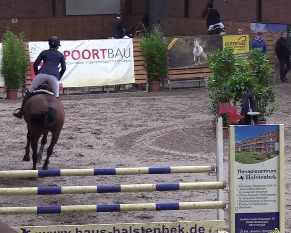 Reitturnier Hamburg-Friedrichshulde 2018