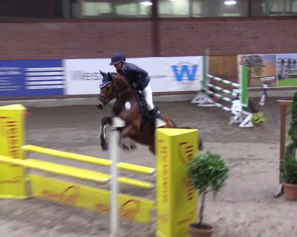 Reitturnier Hamburg-Friedrichshulde 2018