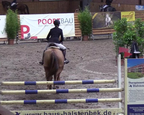 Reitturnier Hamburg-Friedrichshulde 2018