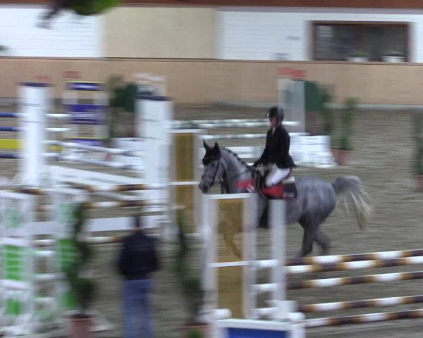 Reitturnier Hövelhof 2018