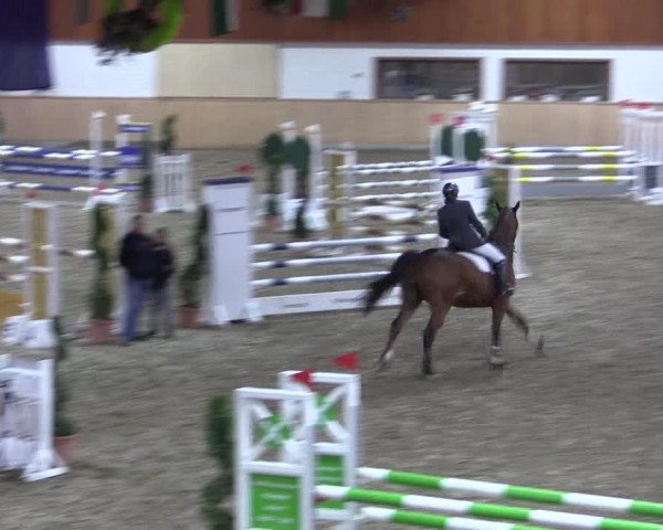 Reitturnier Hövelhof 2018