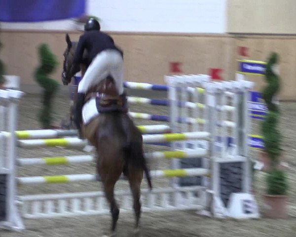 Reitturnier Hövelhof 2018