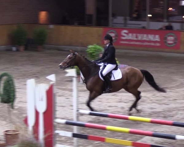 Reitturnier Hamburg-Friedrichshulde 2018