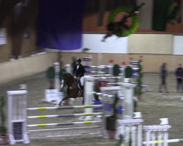 Reitturnier Hövelhof 2018