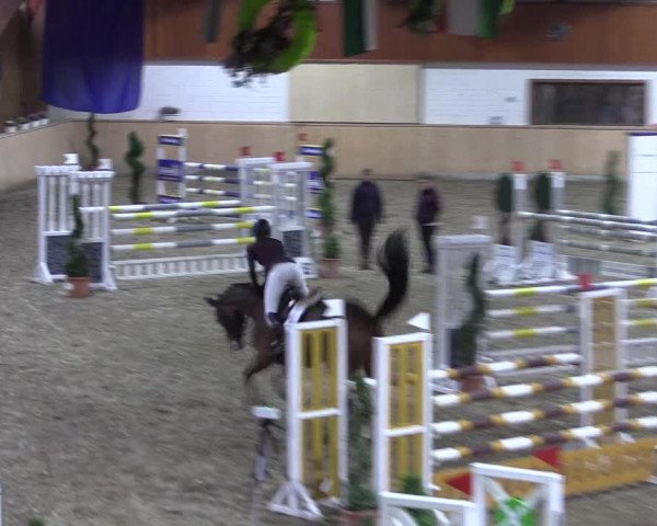 Reitturnier Hövelhof 2018