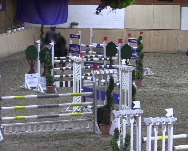 Reitturnier Hövelhof 2018