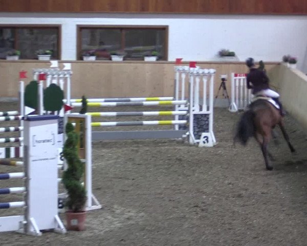 Reitturnier Hövelhof 2018