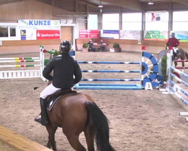 Reitturnier Langenau 2018