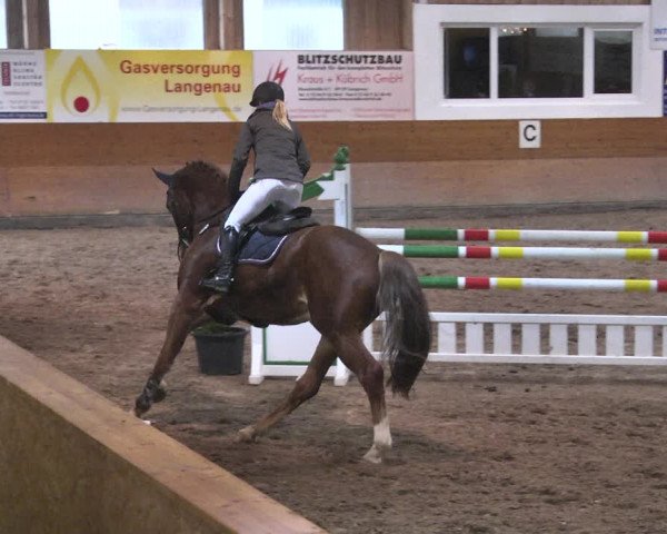 Reitturnier Langenau 2018