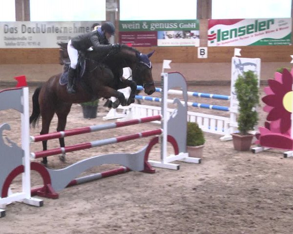 Reitturnier Langenau 2018
